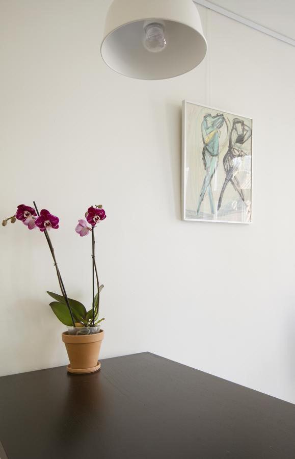 Tweede Laurierdwarsstraat Apartment أمستردام المظهر الخارجي الصورة